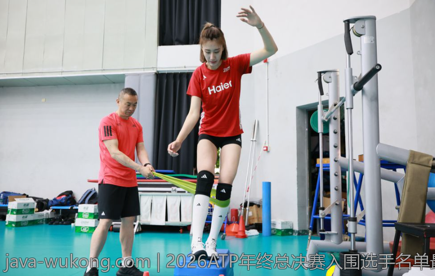2026ATP年终总决赛入围选手名单最新更新